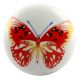 Multicolor Butterfly Ceramic Wine Stopper Online